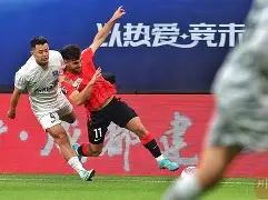 转折点！成都蓉城再遭质疑，荷甲窗口期攻防权衡，悬念犹存，身体对抗强度拉满的简单介绍